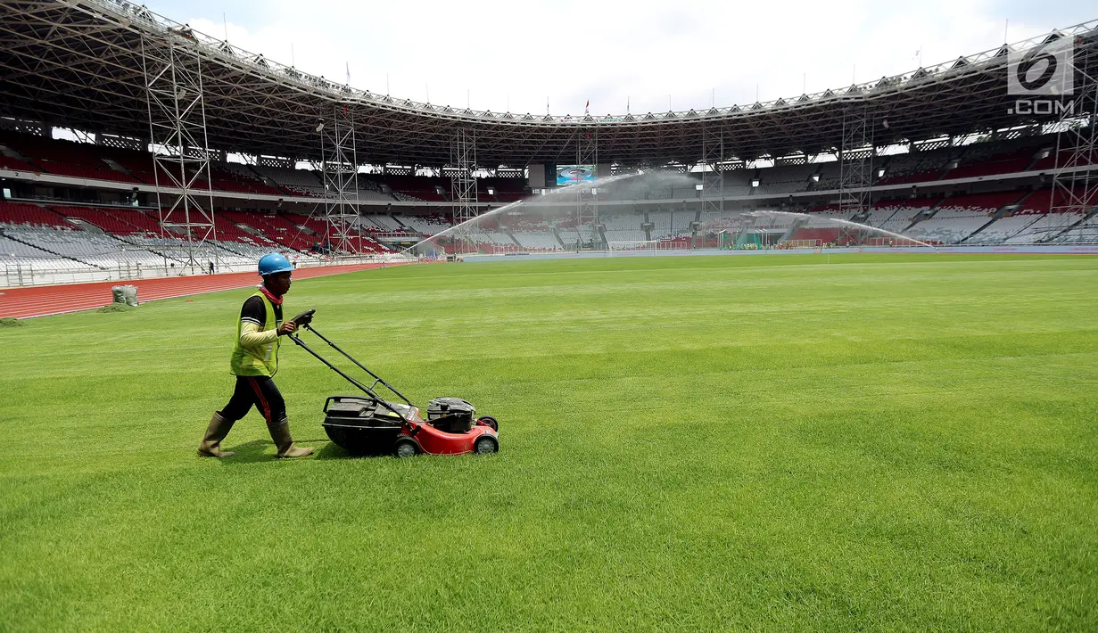 Pekerja memotong rumput Stadion Utama Gelora Bung Karno, Senayan, Jakarta, Jumat (20/10). Renovasi untuk Asian Games 2018 dengan nilai kontrak yang ditaksir mencapai Rp 769,7 miliar ini ditarget rampung pada Desember 2017. (Liputan6.com/Johan Tallo)
