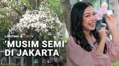 'Musim Semi' di Jakarta