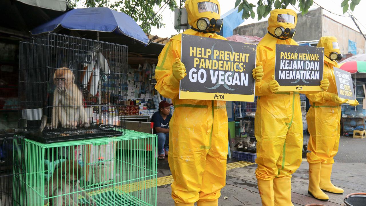 Aktivis PETA demo di Pasar Hewan Jatinegara