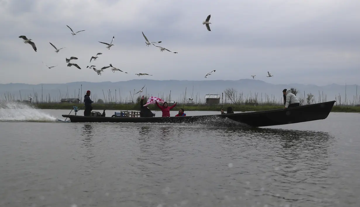 Pengunjung memberi makan burung camar di Danau Inle yang terkenal di negara bagian Shan selatan, Myanmar, Sabtu (15/1/2022). Danau Inle adalah danau air tawar yang berada di Shan State, Myanmar. (AP Photo)