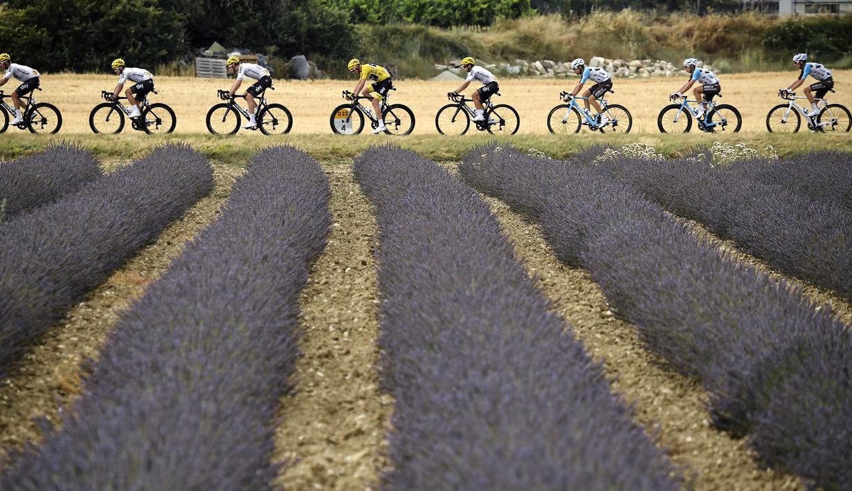 Aksi pebalap melewati indahnya kebun bunga Lavender pada etape ke-19 Tour de France dengan  jarak tempuh 222,5 km dari Embrun menuju Salon-de-Provence, Prancis, (21/7/2017). (AFP/Lionel Bonaventure)