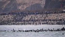 Spanyol Kirim Militer ke Ceuta Usai Ribuan Migran Menyeberang dari Maroko