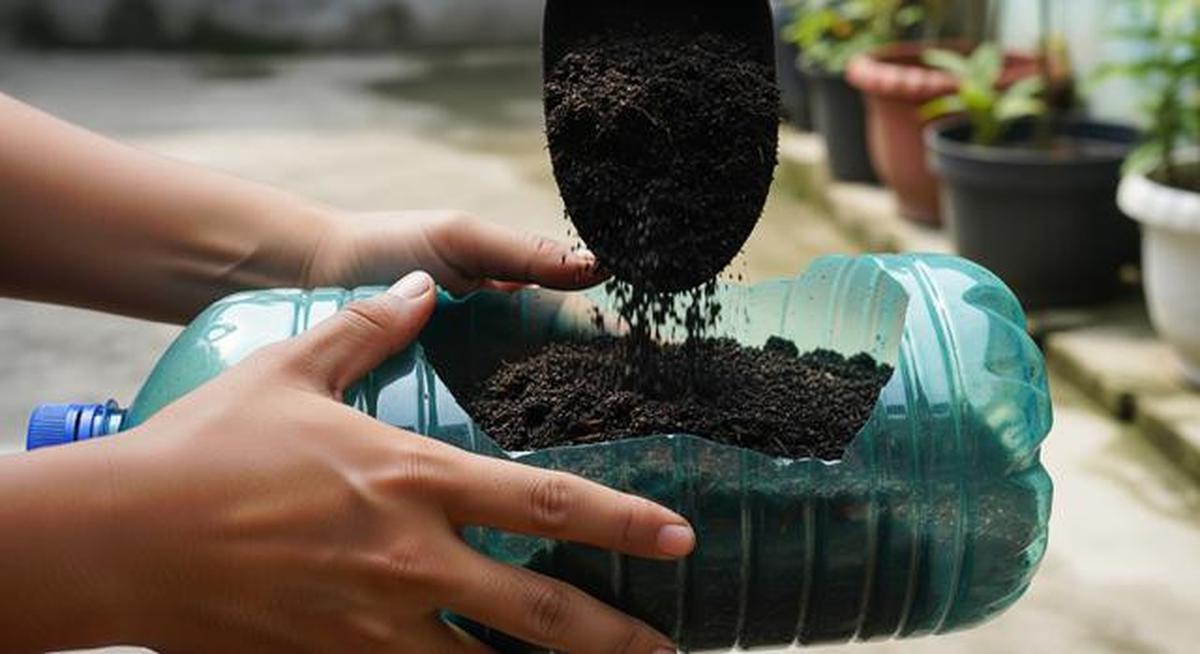 Cara Menanam Bayam di Galon Bekas, Mudah untuk Ketahanan Pangan