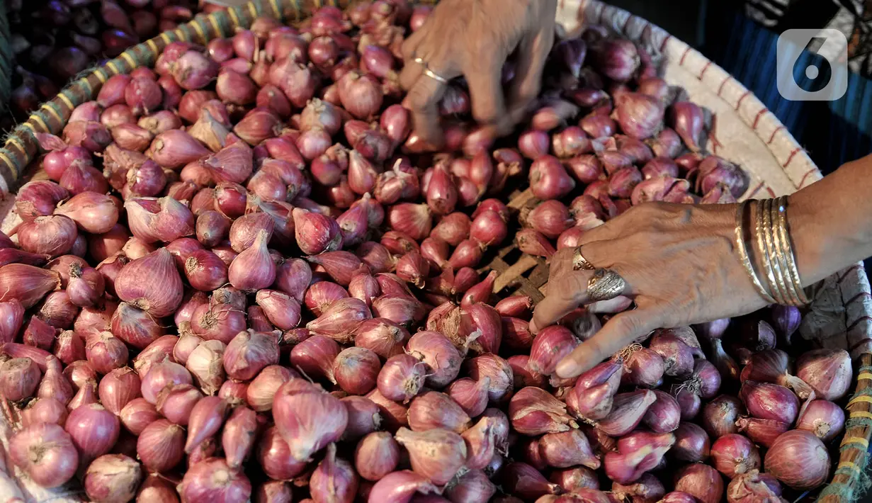 Aktivitas pedagang merapikan bawang merah di Pasar Induk Kramat Jati, Jakarta, Rabu (17/6/2020). Penerapan PSBB yang diberlakukan sejak April-Juni 2020 menyebabkan harga bawang merah merangkak naik Rp 45 ribu-Rp60 ribu per kilogram akibat kelangkaan di daerah pemasok. (merdeka.com/Iqbal S. Nugroho)