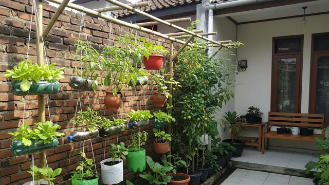 9 Ide Kebun Sayur di Lahan Kecil agar IRT Tidak Sering Belanja di Pasar