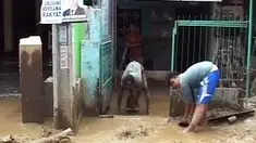 liputan6