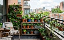 7 Kebun Mini yang Bisa Dibuat Tanpa Lahan Tanah, Cocok untuk Rumah Kecil
