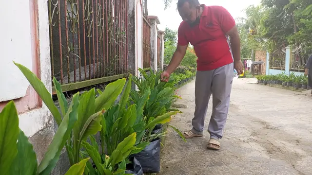 Kunyit Putih Dilirik Jadi Pengobatan Tradisional Tangkal COVID-19