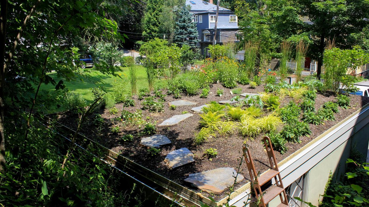 Carport Roof Garden