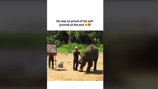 Aksi Gajah Gambar Potret dan Tulis Namanya Sendiri, Komentar Warganet Terbelah