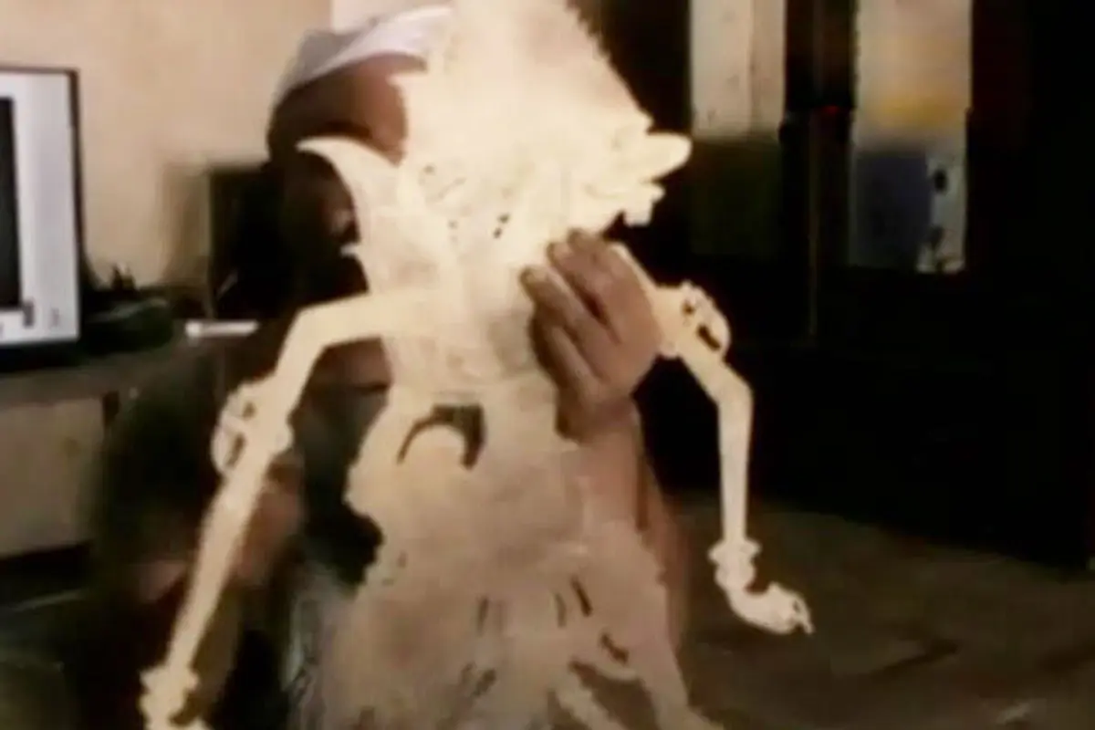 Mengenal Desa Wayang, Pelestari Budaya Bangsa