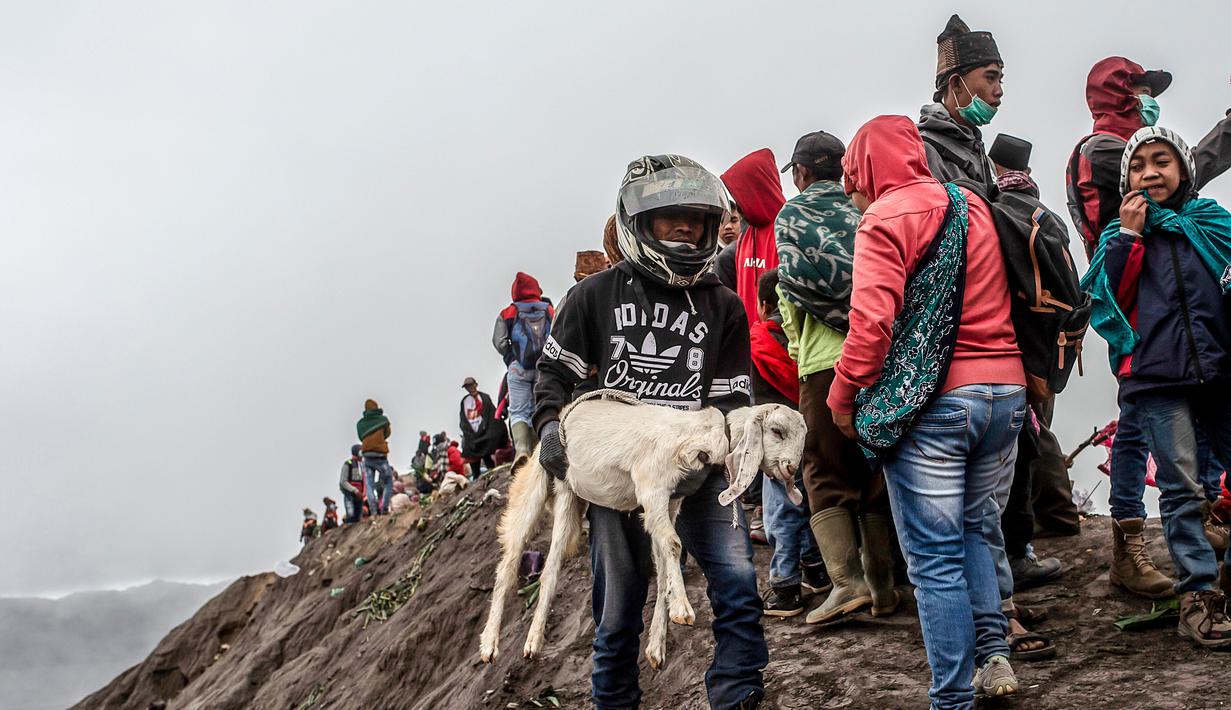 Suku Tengger membawa kambing sajen menuju puncak untuk melarungnya ke kawah dalam ritual Yadnya Kasada di Gunung Bromo, Probolinggo, Jawa Timur, Kamis (18/7/2019). Yadnya Kasada diselenggarakan pada hari ke-14 bulan Kasada. (JUNI KRISWANTO/AFP)