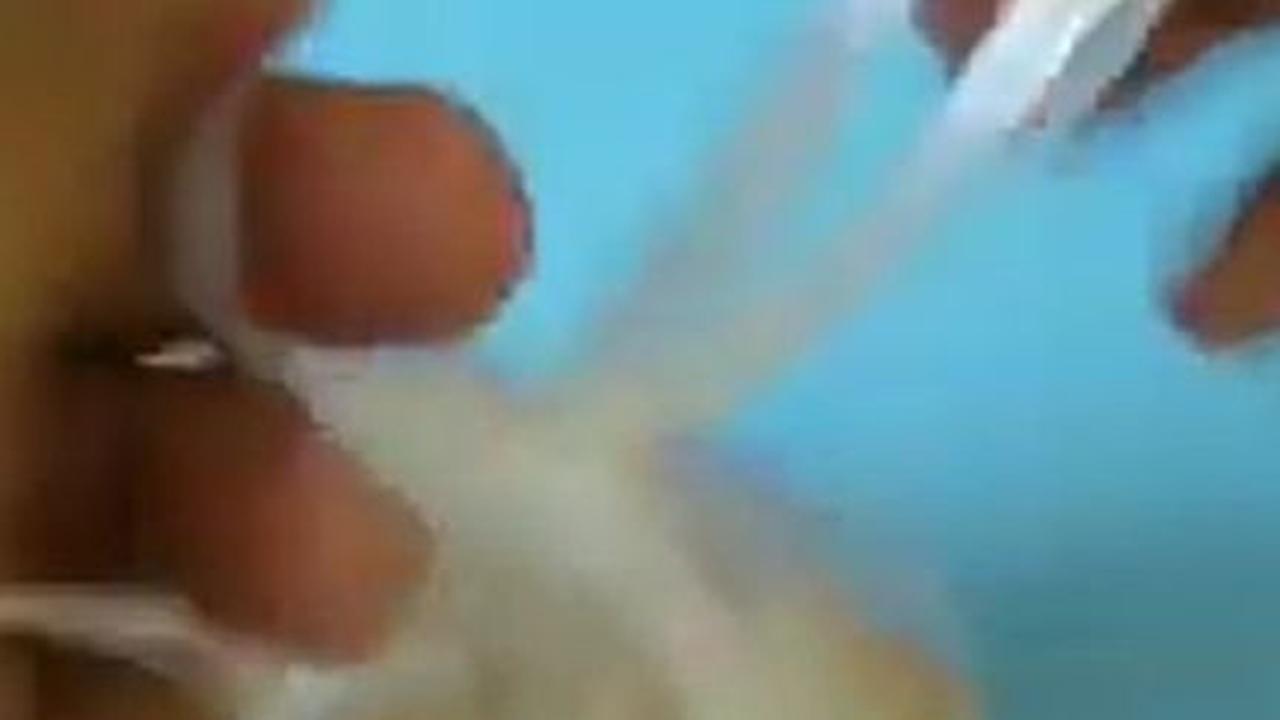 Bungkus dengan Plastik