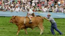Seorang petani, Peter Ginter menaiki seekor sapi bernama Barti saat ikut ambil bagian dalam lomba balapan sapi tradisional di Desa Bavarian, dekat Danau Starnberg, Jerman, Minggu (28/8). (AP Photo/Matthias Schrader)
