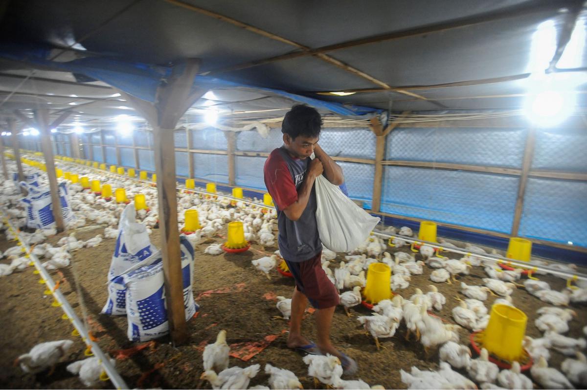 Program EA untuk Kemandirian Pangan Nasional