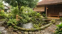 8 Tanaman Air yang Cocok untuk Kolam Mini Bergaya Jepang, Ciptakan Suasana Sejuk Menenangkan