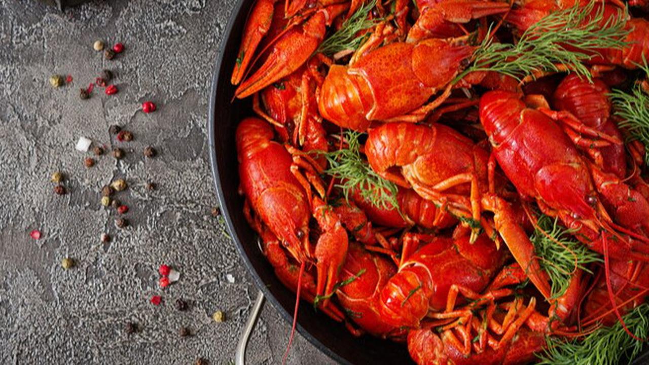 Mengapa Lobster Bisa Menjadi Bahaya Jika Tidak Dikonsumsi dengan Bijak? Ini Kata Pakar Gizi