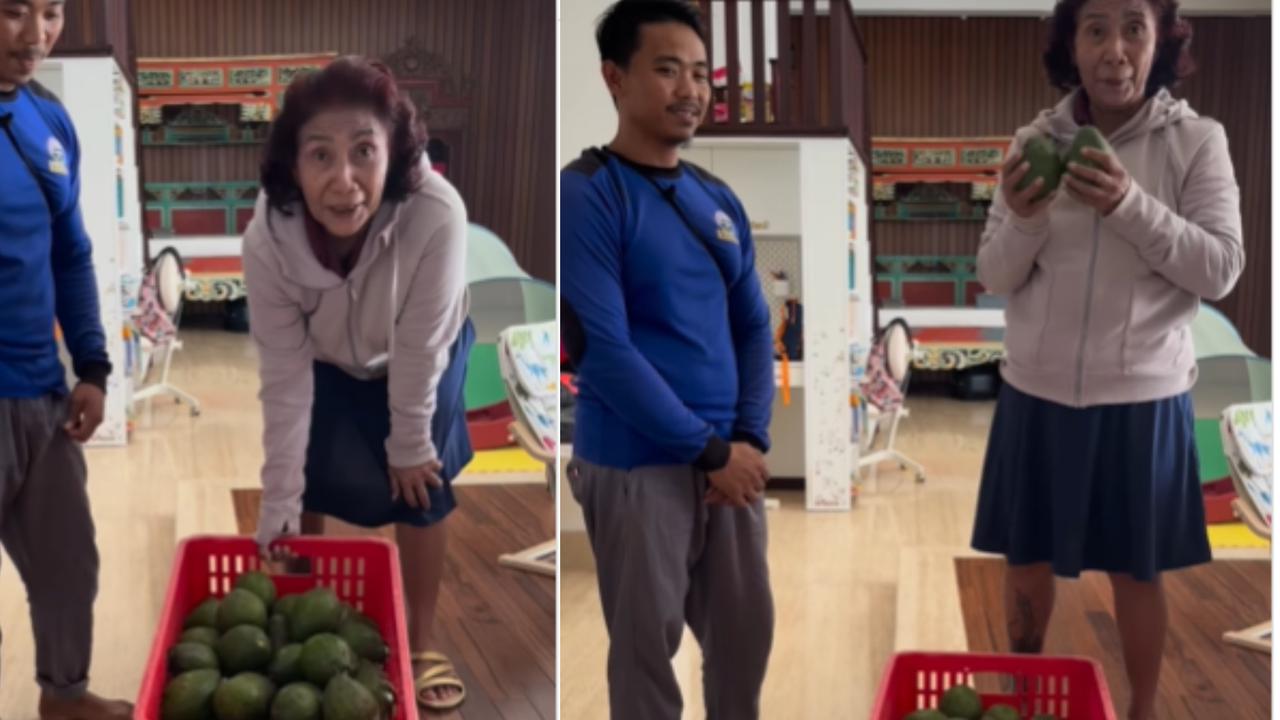 Tak Lagi Menjabat Menteri, Eks Srikandi Jokowi Kini jadi 'Petani' Baru Panen Alpukat dan Melon