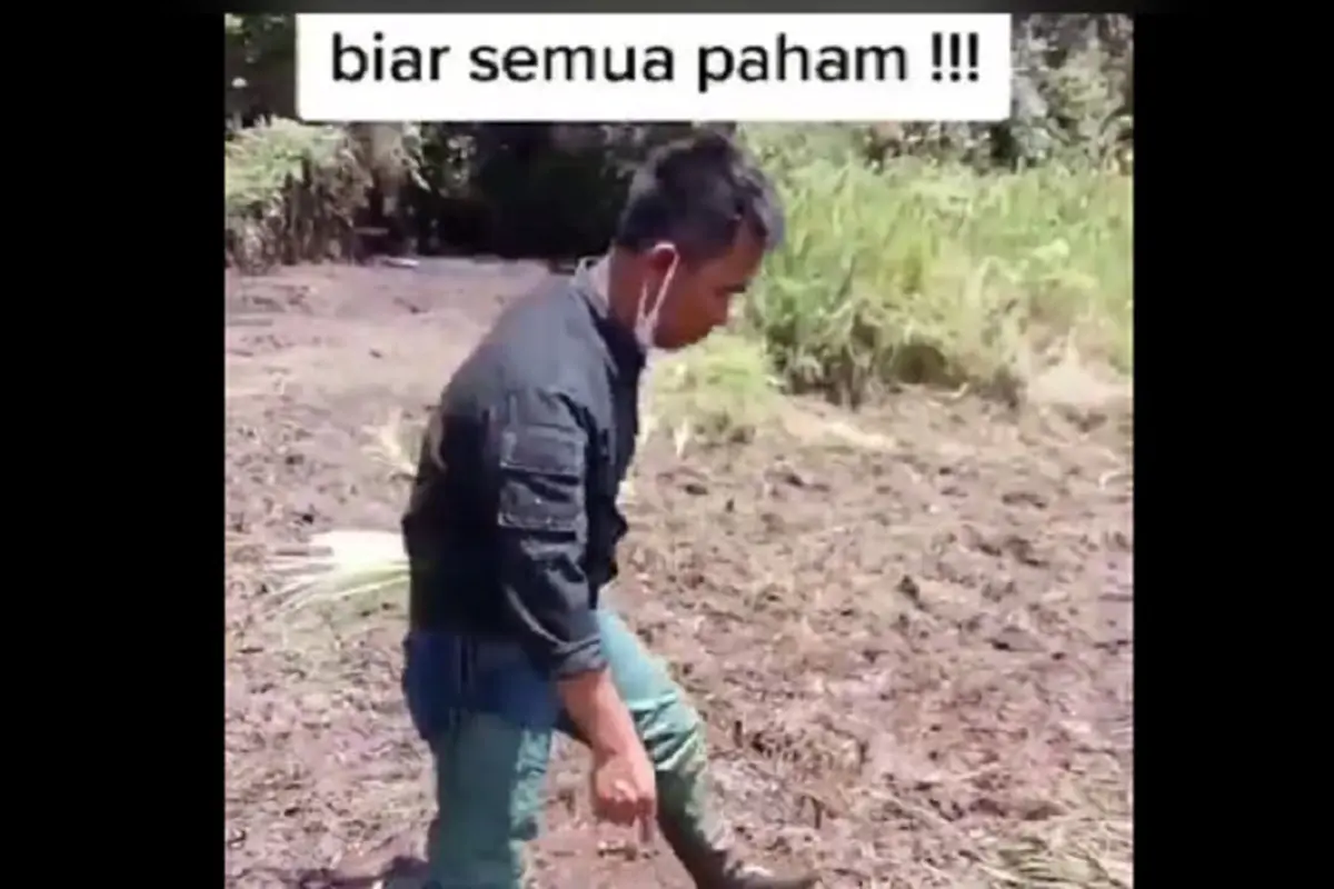Petani Ranca Upas
