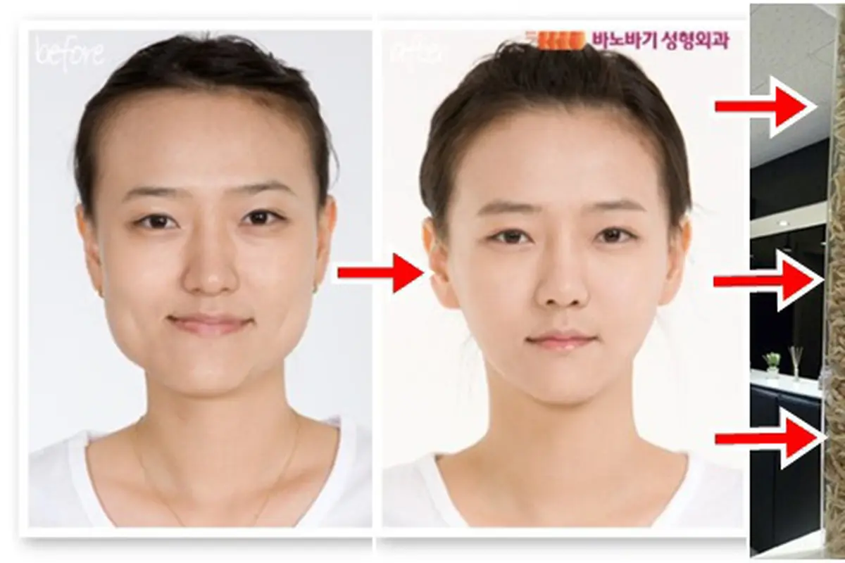 Photo copyright en.rocketnews24.com