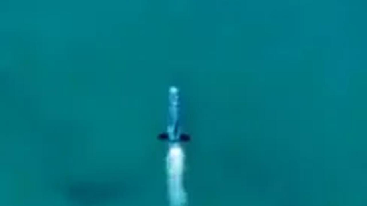 <b>Torpedo Al-Asif</b>