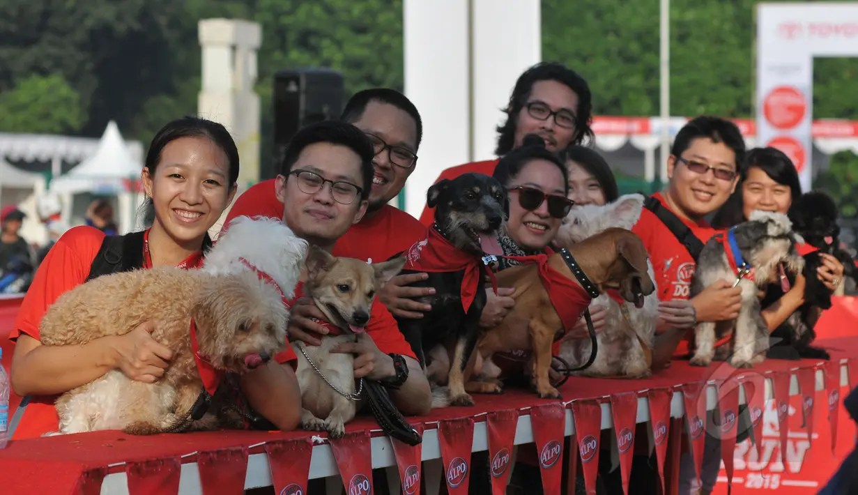 Sejumlah peserta berpose bersama saat mengikuti Purina Alpo Dog Run 2015 di Lapangan Parkir Timur Senayan, Jakarta, Minggu (24/5/2015). Acara tersebut dimanfaatkan para pemilik anjing untuk berbagi informasi. (Liputan6.com/Herman Zakharia)