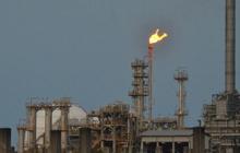 IIF Tinjau Proyek Jetty dan Tangki Propilena Polytama untuk Dukung Industri Petrokimia Nasional