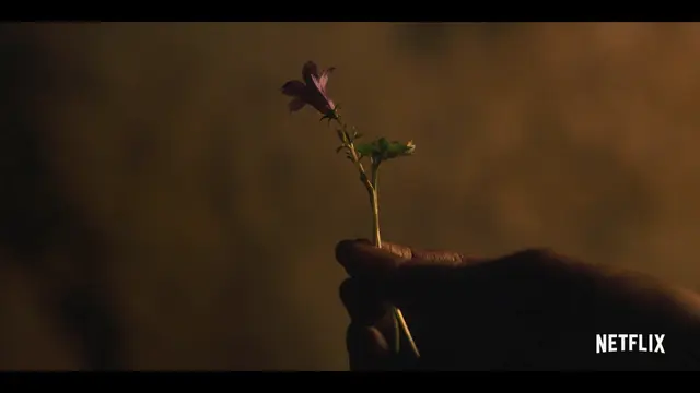 Kingdom: Ashin of the North