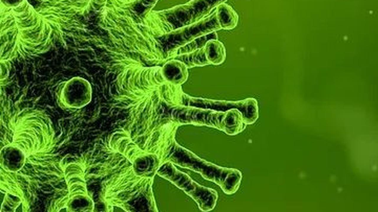 Cara Penularan Virus Nipah antar Manusia, Ketahui Ciri-ciri Orang yang Terinfeksi