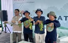 Rehabilitasi Mangrove Pulihkan Hasil Tambak Petani di Sepatin Kutai Kartanegara