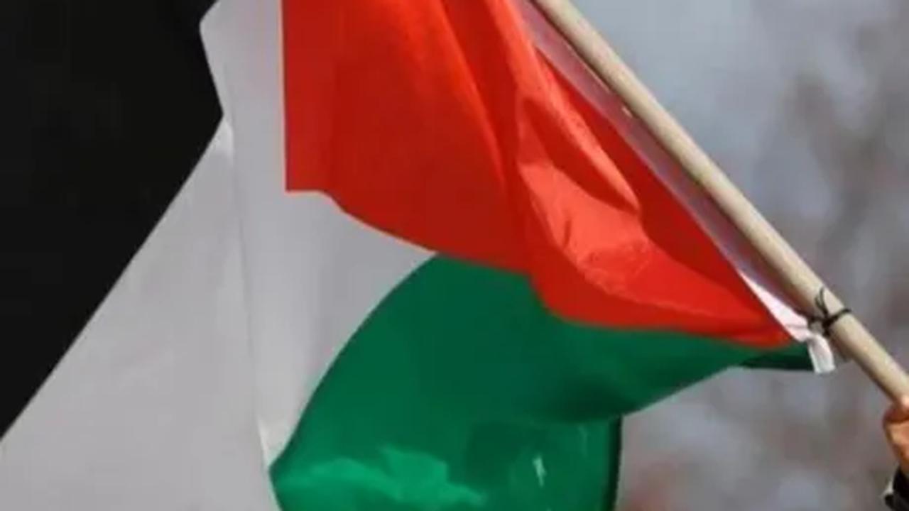 Temukan Fakta Sesungguhnya soal Israel, Dokter Yahudi Mantan Zionis Langsung Tobat Kini Dukung Palestina