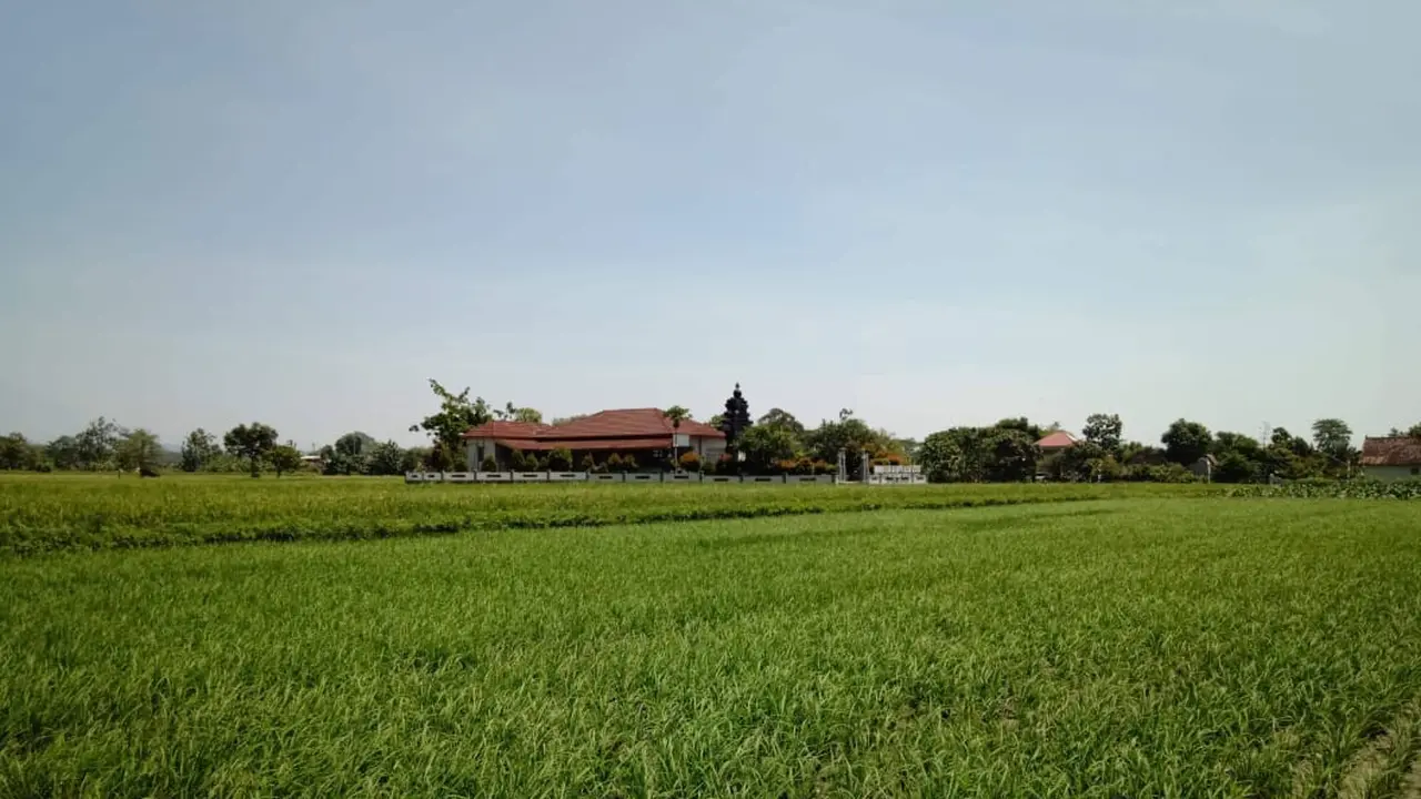 RJIT Ditjen PSP Tingkatkan IP dan Produktivitas Pertanian di Boyolali