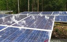 Pemkab Mahulu Rumuskan Tarif Listrik PLTS untuk Pemerataan Energi di Daerah 3T
