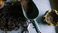 Cara Membuat Pestisida Nabati Tanpa Bahan Kimia untuk Membasmi Hama Tanaman