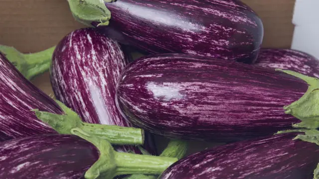 Jangan Makan Mentah 5 Makanan Ini