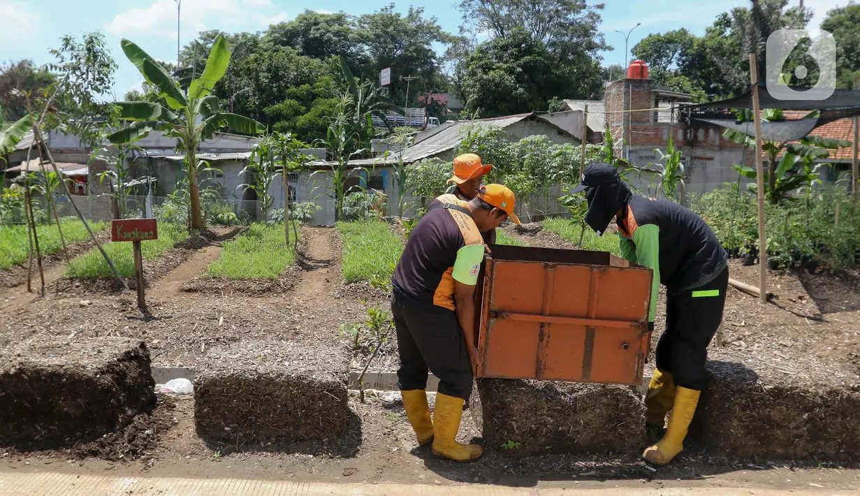Usai dipilah dan dicacah, sampah-sampah tersebut akan dijadikan pupuk kompos. (Liputan6.com/Herman Zakharia)