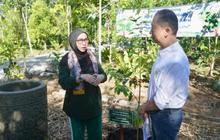 Perkuat Gerakan Kartini Hebat, Pemkot Banjarbaru Gencarkan Penanaman Pohon Gaharu