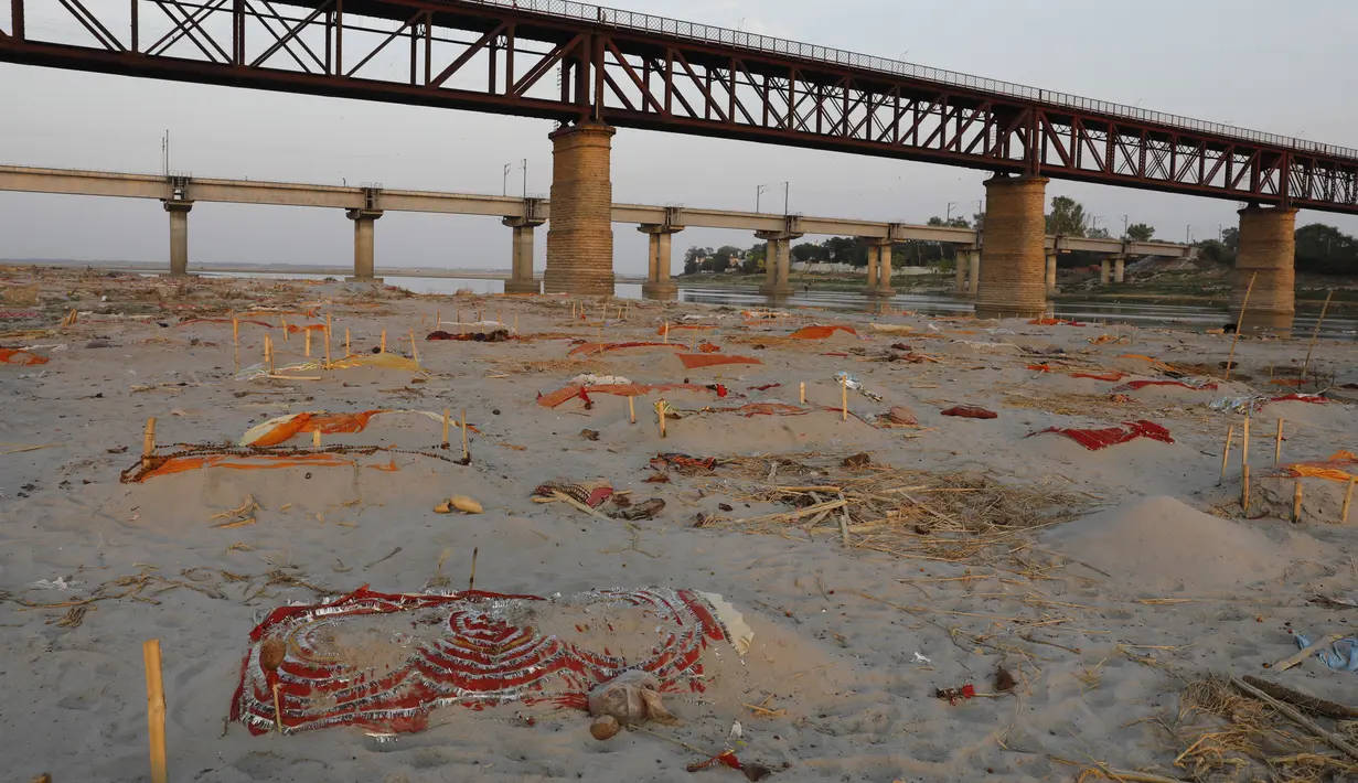 Jenazah korban terduga Covid-19 terlihat di kuburan dangkal di tepi sungai Gangga di Prayagraj, 15 Mei 2021. Polisi menjangkau penduduk desa di India utara untuk menyelidiki penemuan jasad di tepi Sungai Gangga yang memicu spekulasi mereka adalah jenazah korban COVID-19 (AP Photo/Rajesh Kumar Singh
