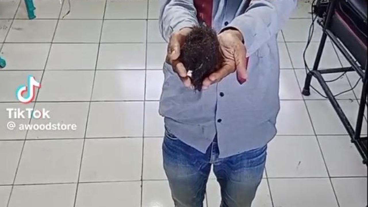 Di awal video, ia tampak menunjukkan serpihan rambut sebagai bahan untuk gambar Presiden Jokowi. Ia juga menyertakan foto yang akan ia jadikan gambar.
