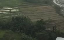 Menguak Rahasia Besar Kehidupan Purbakala di Situs Bumiayu Brebes, Jadi Saksi Bisu Terbentuknya Pulau Jawa