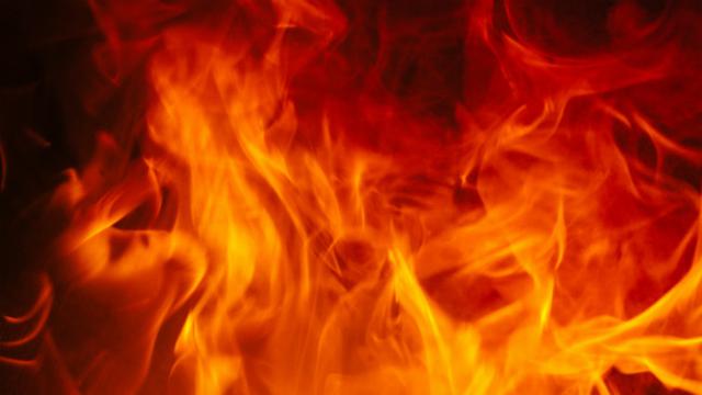 Zodiac Elements and Their Significance