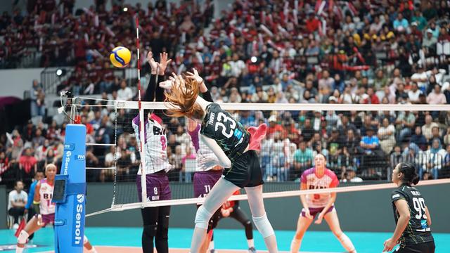 PLN Mobile Proliga 2024