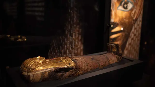 Mumi seorang anak yang berada dalam pameran Golden Mummies of Egypt di Museum Manchester, barat laut Inggris.