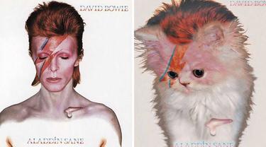 Gaya Kucing Saat Parodikan Cover Album Ini Bikin Gemes