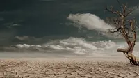 What Is Global Warming? Understanding Its Causes, Dangers, And How To Stop It