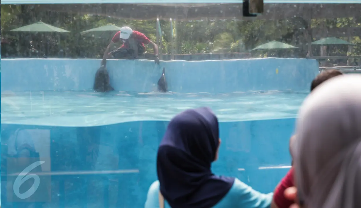 Pengunjung mengamati akuarium berisi lumba-lumba di Dolphin Bay, Taman Impian Jaya Ancol, Jakarta, Jumat (14/4). Wahana tersebut menjadi sarana edukasi sekaligus mengenalkan lebih dekat lumba-lumba kepada para pengunjung. (Liputan6.com/Faizal Fanani)