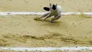 Seekor kucing terlihat berlari saat berlangsungnya adu banteng di arena laga banteng La Santamaria, Bogota, Kolombia, 28 Januari 2018. (AFP PHOTO / Raul Arboleda)