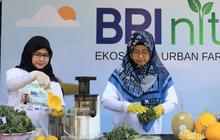 Mengenal Program BRINita BRI yang Menyabet Merdeka Award 2024 Kategori CSR Untuk Negeri