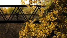 Seseorang mengendarai sepedanya melewati jembatan di antara warna-warni musim gugur di Mississauga, Ontario, pada Kamis, 27 Oktober 2022. (Nathan Denette/The Canadian Press via AP)