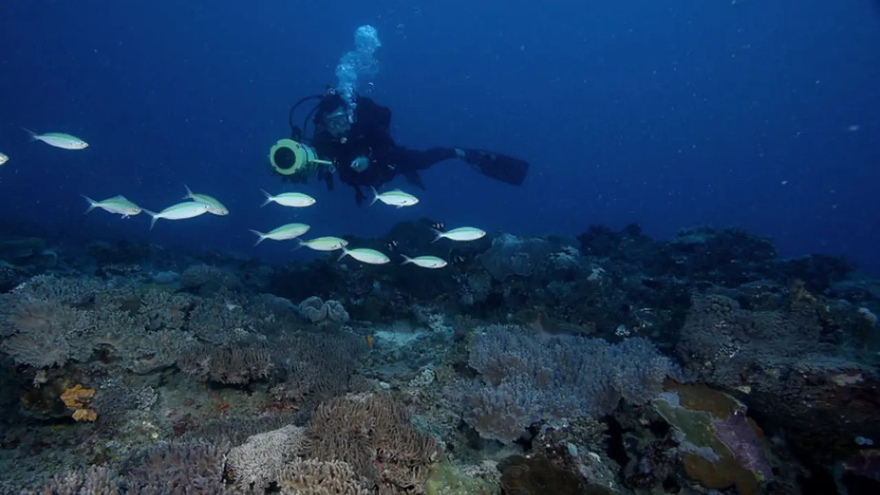 Sumbawa